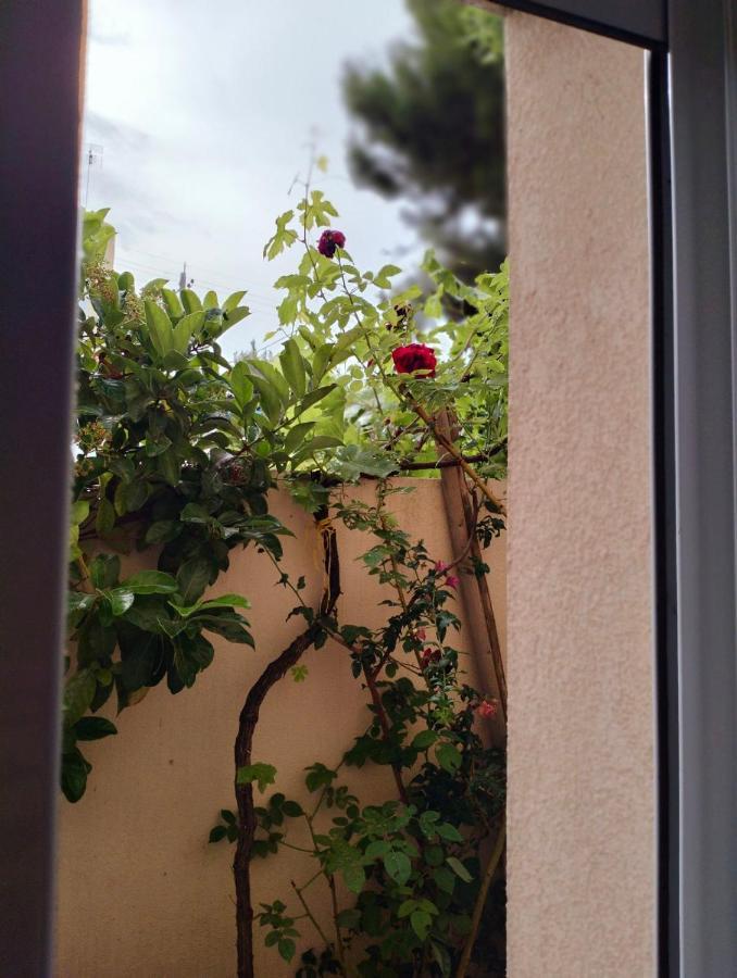 Sea Soul Villa อาร์เตมีดา ภายนอก รูปภาพ